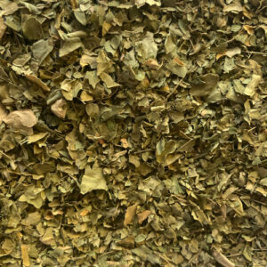 Feuilles de Moringa bio séchées et broyées