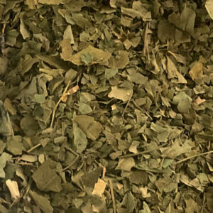 Feuilles de Moringa bio séchées et broyées