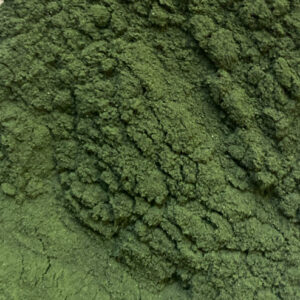 Poudre de Chlorelle bio séchée et broyée