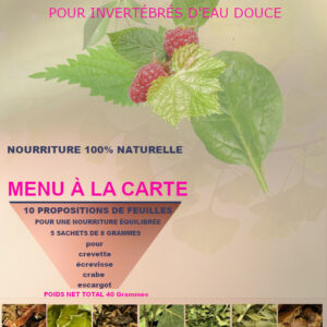 5 SAVEURS DE FEUILLES SÉCHÉES AU CHOIX