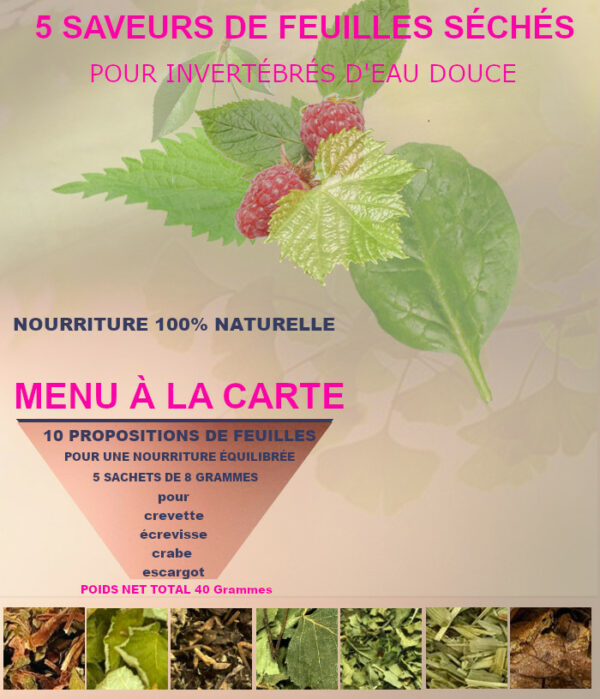 5 SAVEURS DE FEUILLES SÉCHÉES AU CHOIX