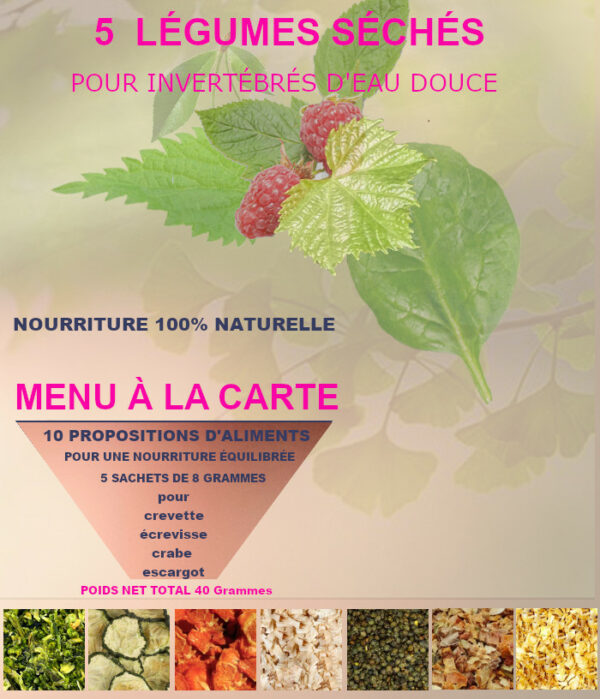 5 LÉGUMES SÉCHÉS AU CHOIX