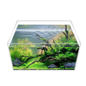 Petit aquarium en acrylique