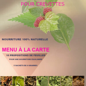 5 SAVEURS DE FEUILLES SÉCHÉES AU CHOIX